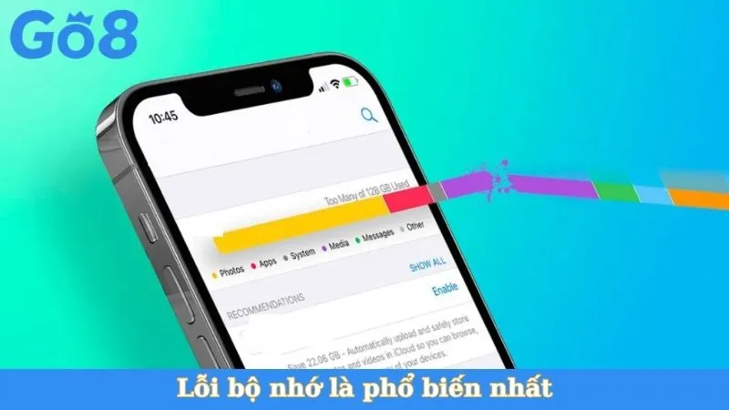Lỗi bộ nhớ là phổ biến nhất
